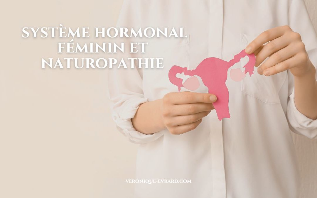 Santé féminine : le naturopathe, votre guide pour comprendre votre système hormonal
