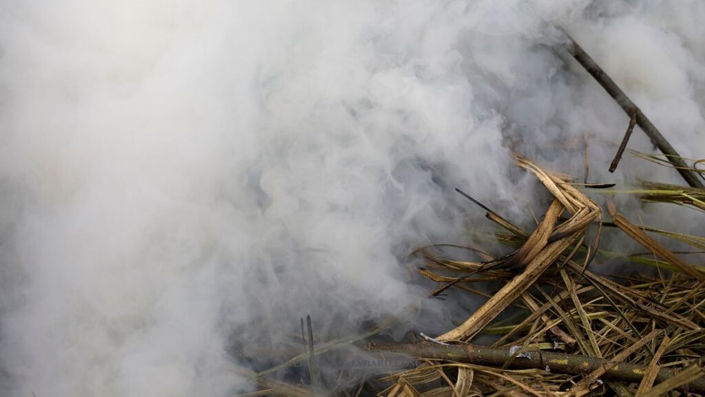 Feu qui couve ou inflammation de bas grade
